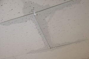 天井の水滴・シミ