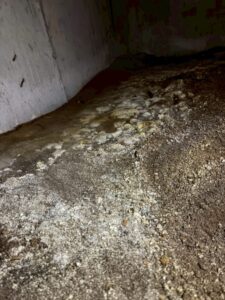 雨漏りによる床下カビ取り工事 施工前