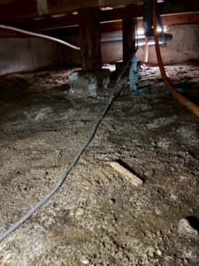 雨漏りによる床下カビ取り工事 施工前
