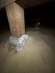 奈良市にてシロアリ駆除工事 施工前