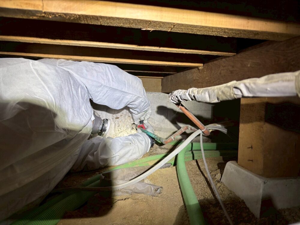 奈良市にてシロアリ駆除工事 施工前2