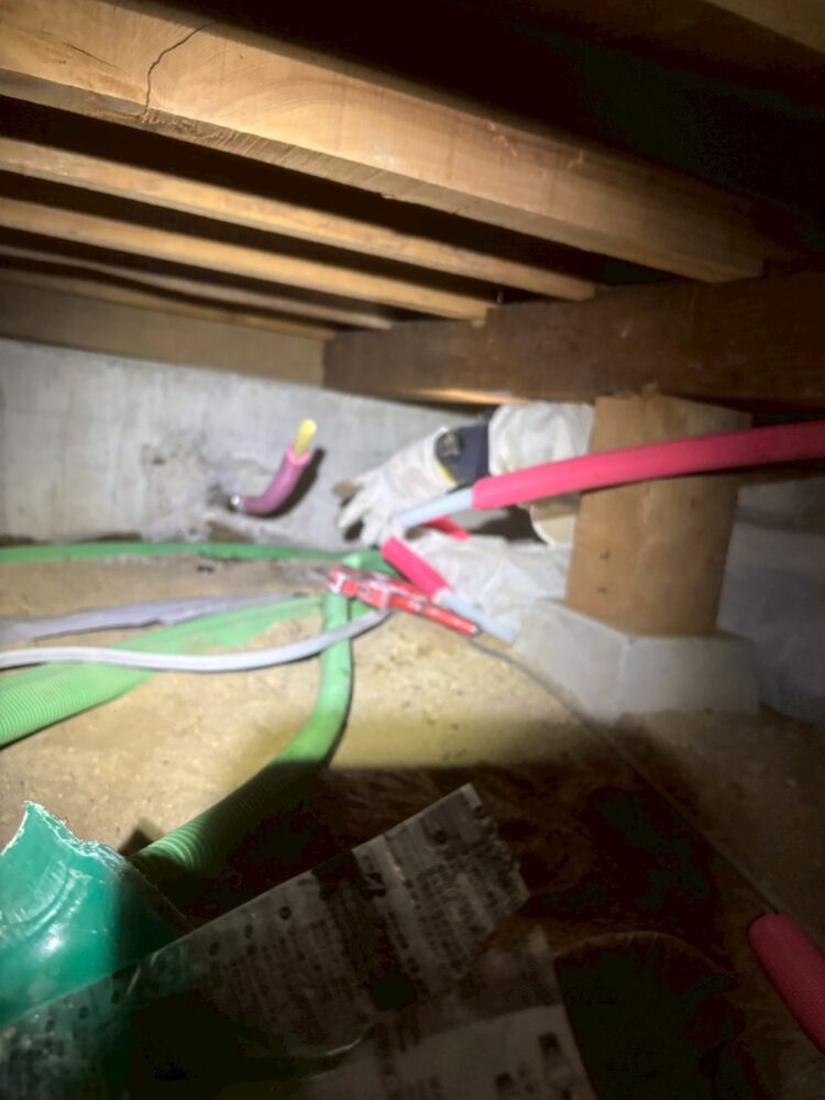 奈良市にてシロアリ駆除工事 施工後2